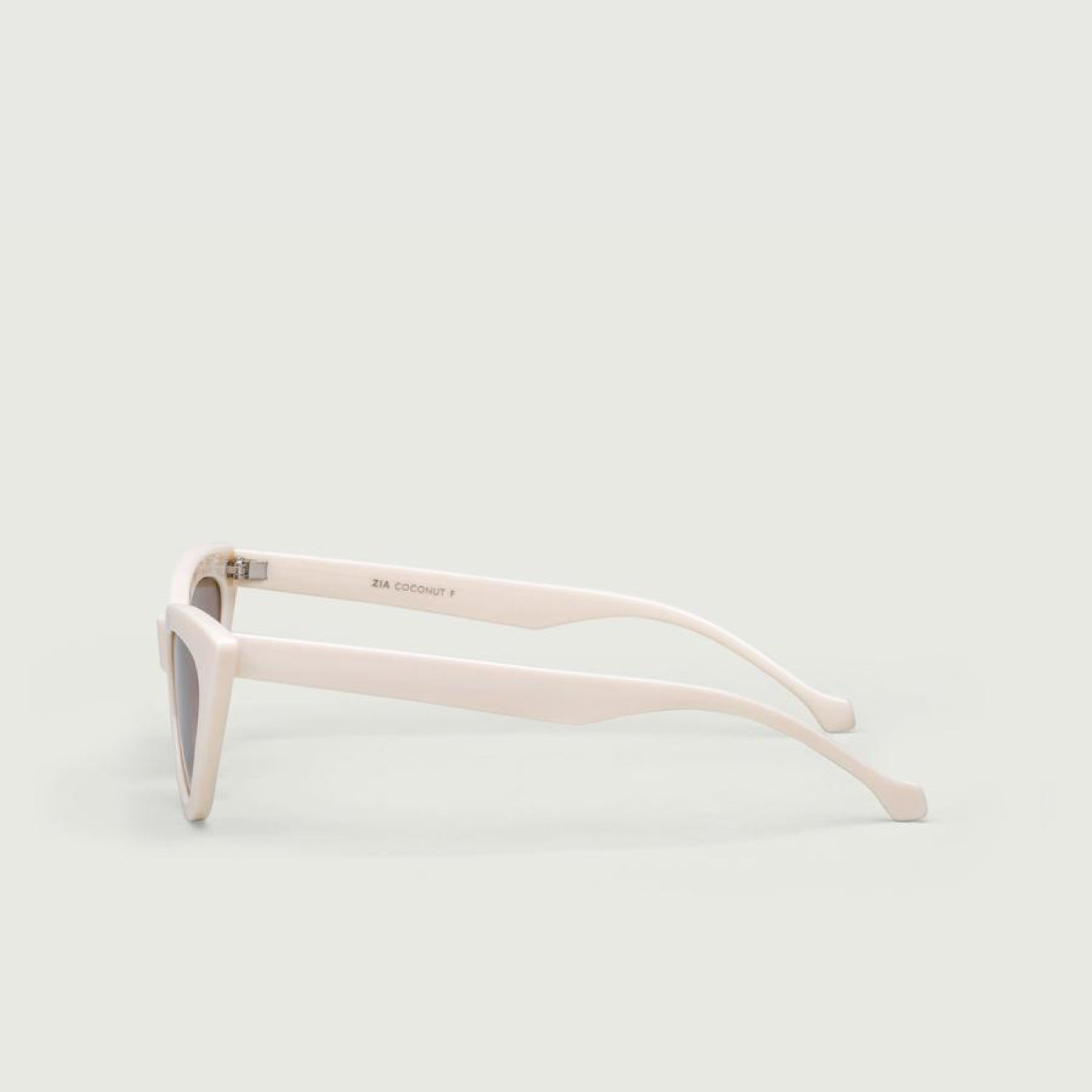 Thick Plastic Sunglasses
