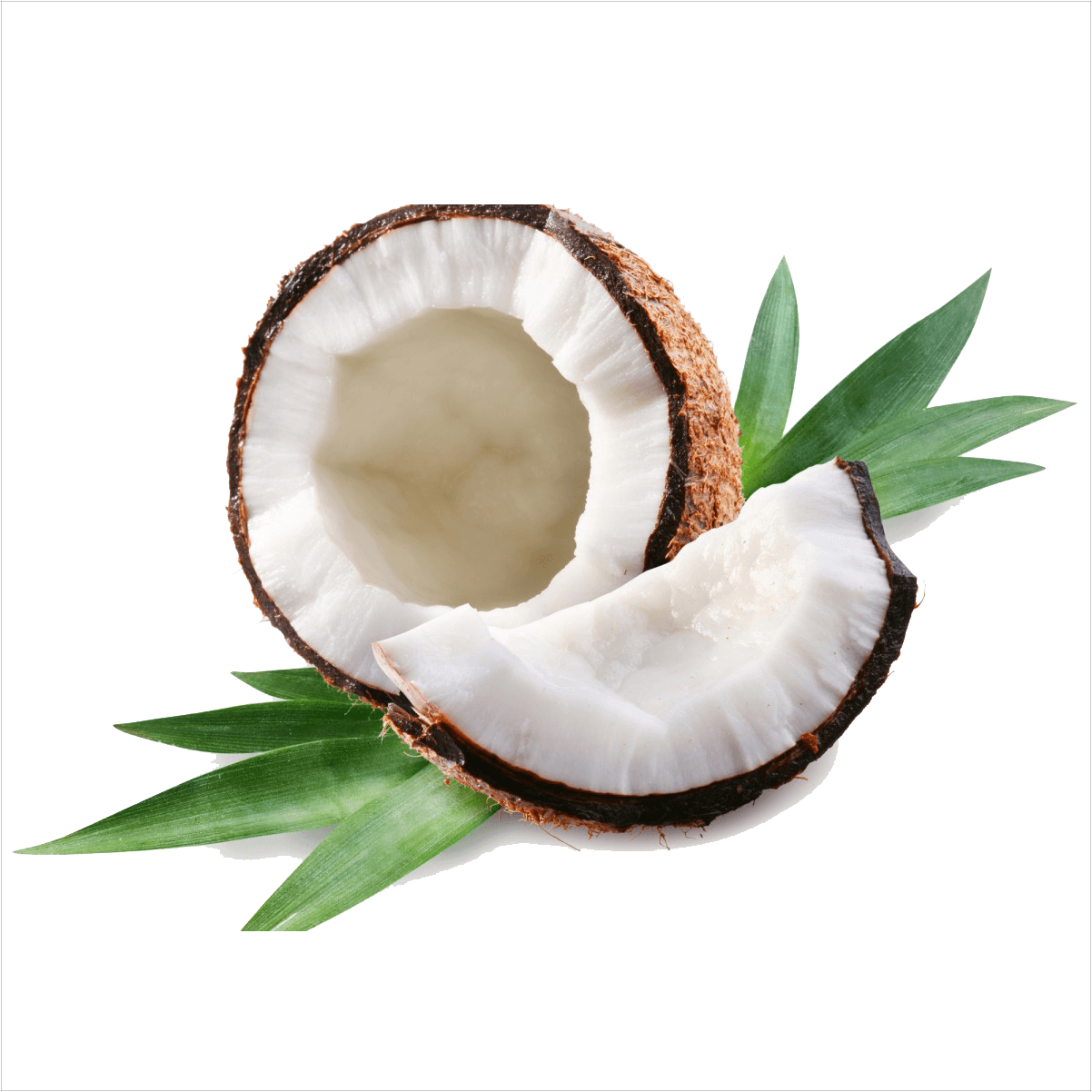 Coconut Peach Mix Juice