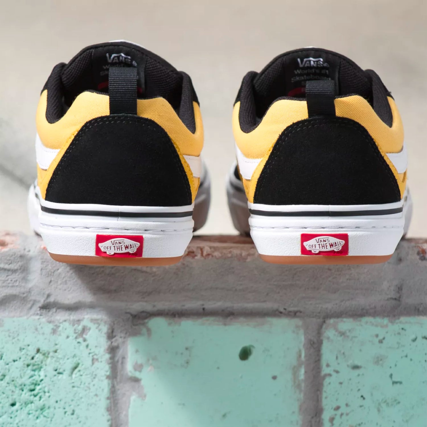 Old Skool Pro Skate Shoes