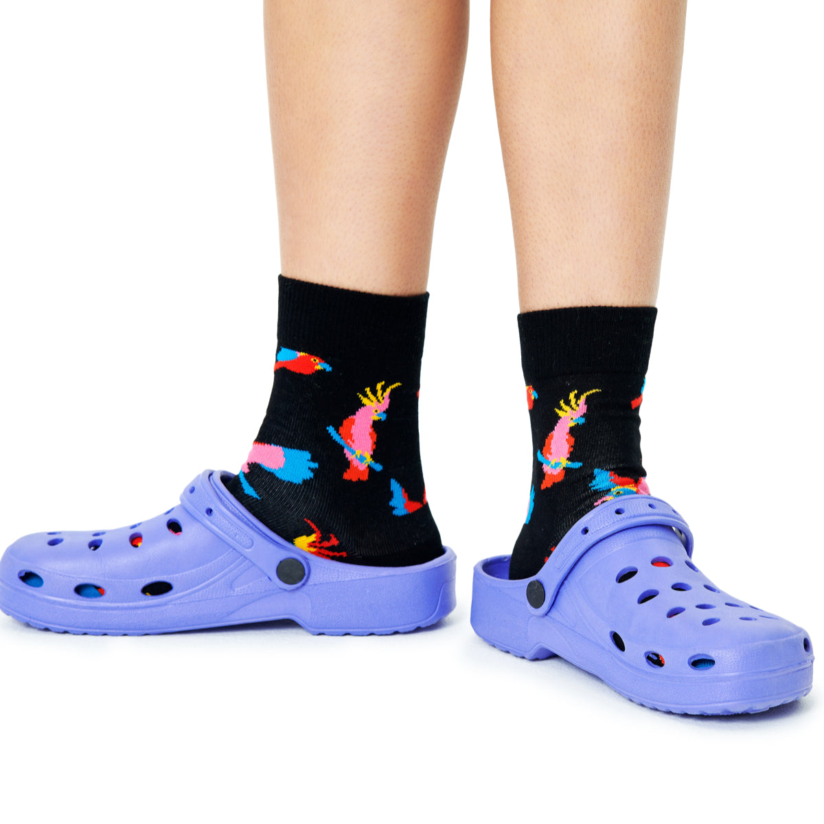 Cockatoo Sock